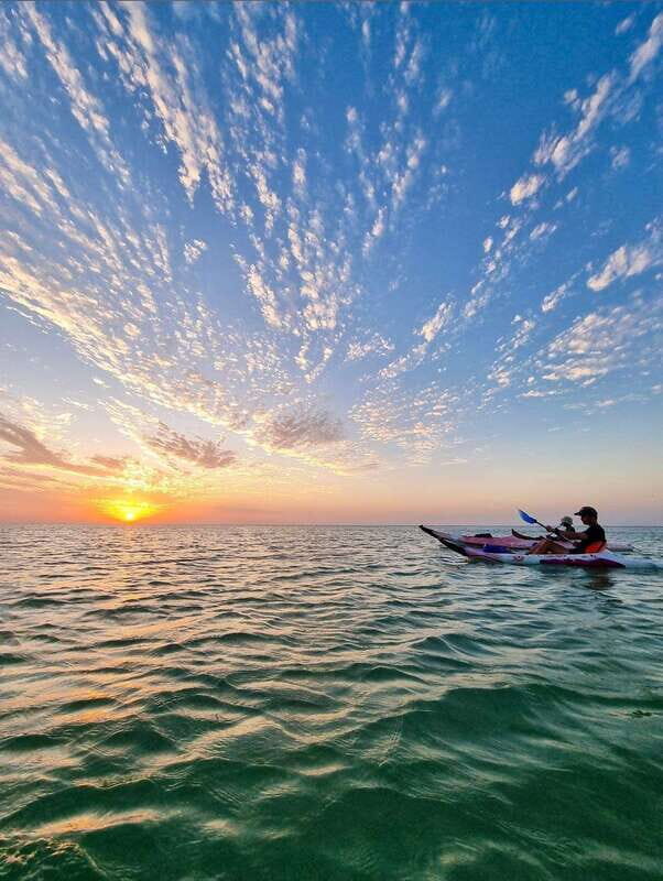 Holbox: Mangrove Sunset Kayak Tour - Who Will Love This Tour?