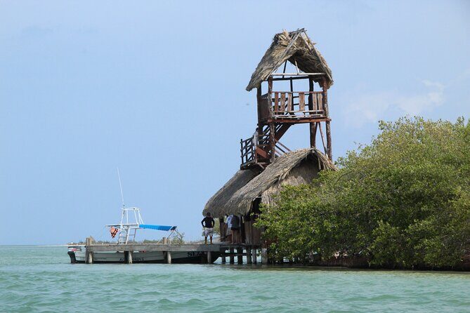 Holbox Paradise Experience - Who Should Book This Tour?