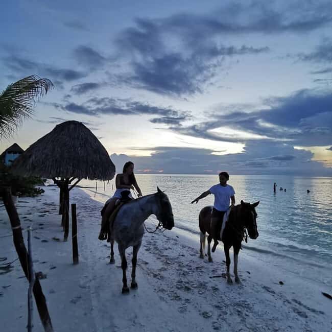 Holbox: Private Horseback Riding - Who Will Love This Tour?