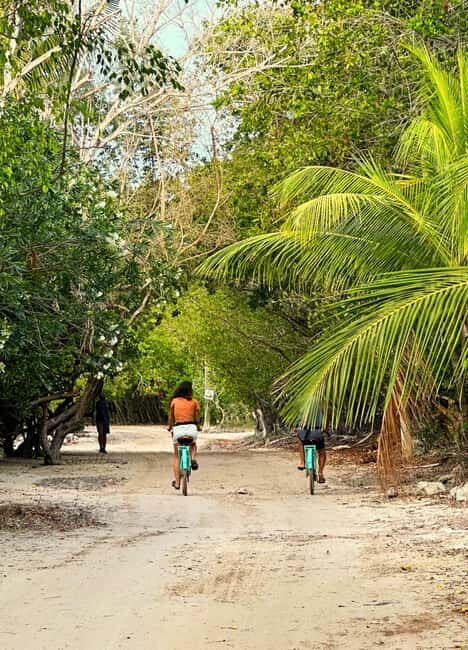 Holbox Self-Guided Tour: Map, Bike, SUP, Coffee & Snack incl - Who Will Love This Tour?