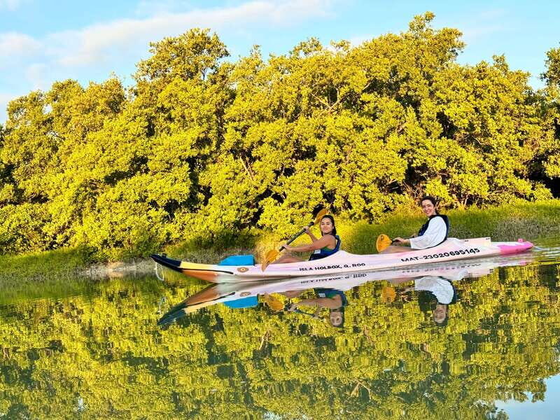Holbox: Sunrise & Mangrove Kayak Tour - The Value You’re Getting