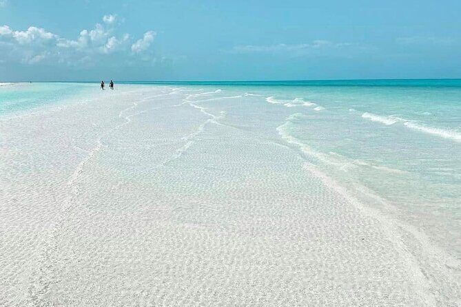 Holbox Tour - Island & Cenote from Cancun and Playa del Carmen - Practical Details & Value