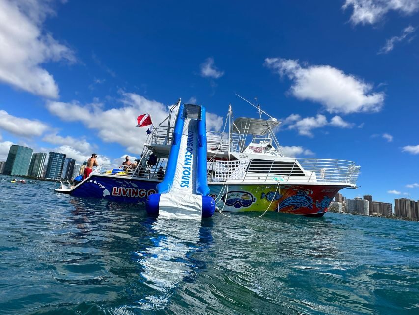 Honolulu: Deluxe Waikiki Snorkel and Wildlife Cruise - Why This Tour Offers Good Value