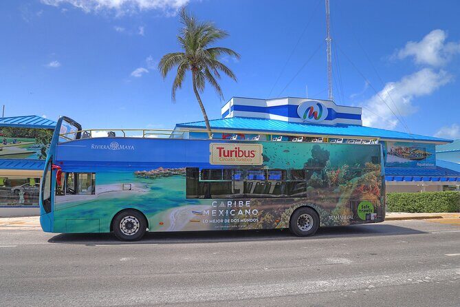 Hop-on Hop-off City Tour Cancun plus Submarine or Bodyboard Experience - The Sum Up