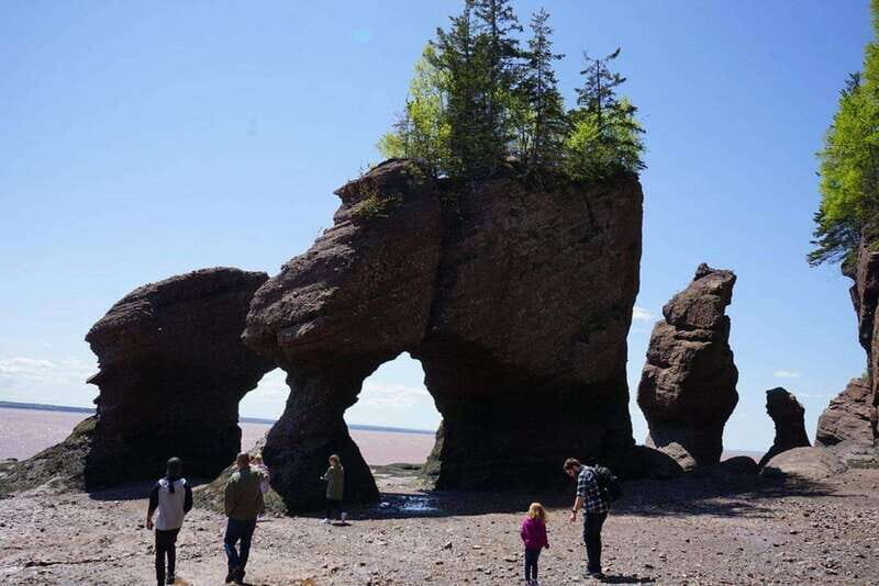 Hopewell Cape: Hopewell Rocks Admission - Exploring the Ocean Floor
