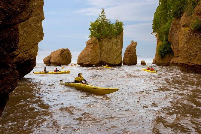 Hopewell Rocks Admission - Authentic Traveler Perspectives