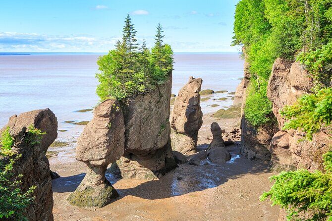 Hopewell Rocks Bay of Fundy Tour - Practicalities and How the Tour Works