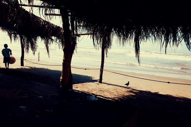 Horse Back Riding And Baby Turtle Camp Visit - Horseback Riding: A Delightful Escape