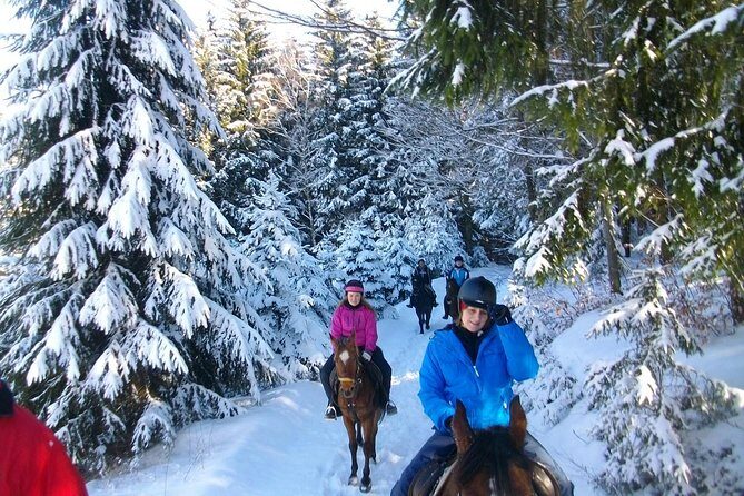 Horse Riding in Bled - Value and Practical Considerations