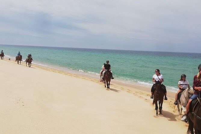 Horse Riding on the Beach Tour - Frequently Asked Questions