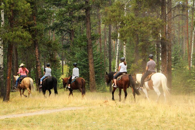 Horse Riding Tour in Marmaris - The Experience’s Strengths and Limitations