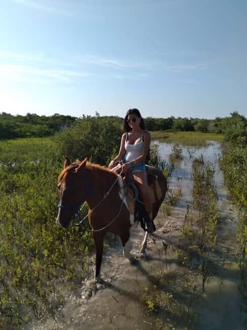Horseback Adventure in Holbox - The Experience: A Deep Dive