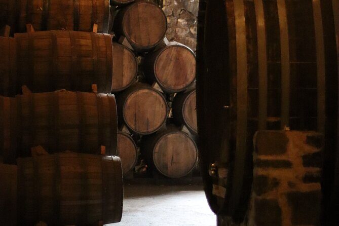 Horseback Riding among Agaves and Food: Experience the Morning in Amatitan - Practical Details and Value