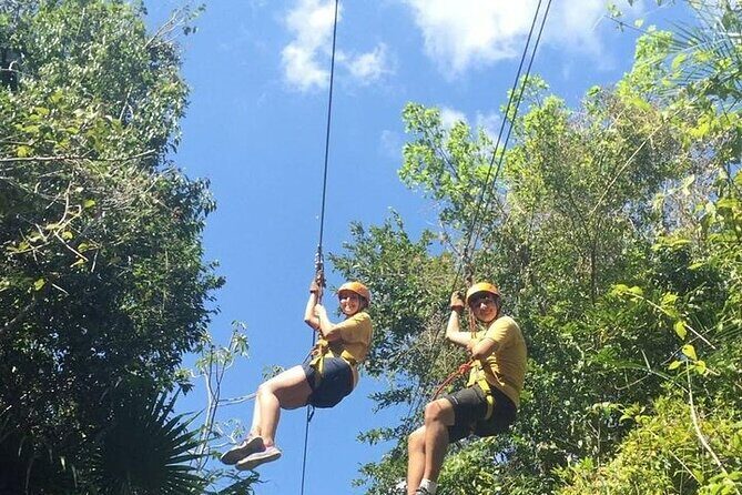 Horseback Riding and Zipline Jungle Adventure - Ziplining: A Bird’s-Eye View of the Jungle