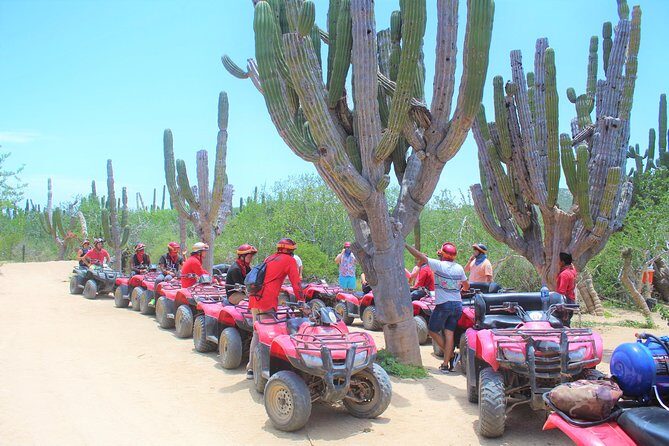 Horseback Riding & ATV Combo! Mountain Trails & Beautiful Beaches of BAJA! - Detailed Breakdown of the Experience