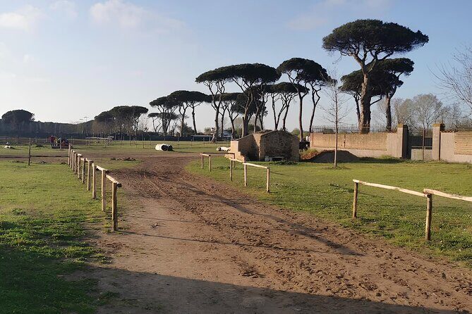 Horseback Riding Experience in Castel Fusano near Rome - The Horses and Guide