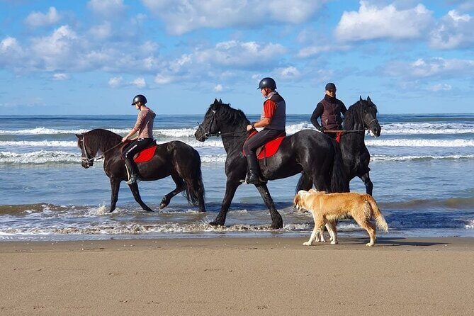 Horseback riding in Durrës - What to Expect on the Horseback Riding Tour