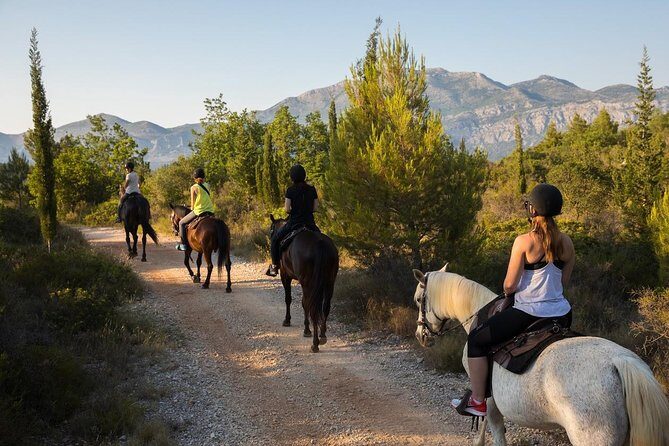 Horseback Riding in Konavle Region with Transport from Dubrovnik - Who Should Book This Tour?
