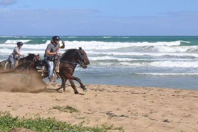 Horseback Riding to Maimon River from Punta Cana - The Itinerary: A Step-by-Step Breakdown