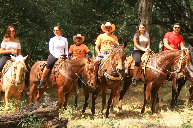Horseback Riding Tour - What Travelers Are Saying (Based on Reviews)