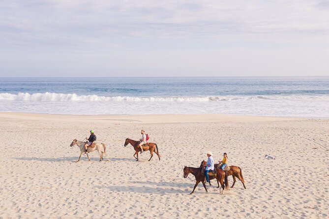 Horseback Riding Tour on the Beach in Puerto Escondido - Detailed Breakdown of the Itinerary
