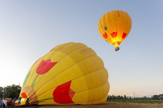 Hot Air Balloon Rides in Napa Valley - What Travelers Are Saying: Authentic Perspectives