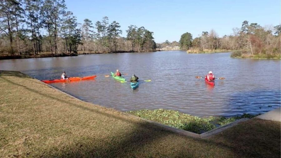 Houston: Luce Bayou Kayaking Tour - Exploring the Luce Bayou Kayaking Tour in Detail