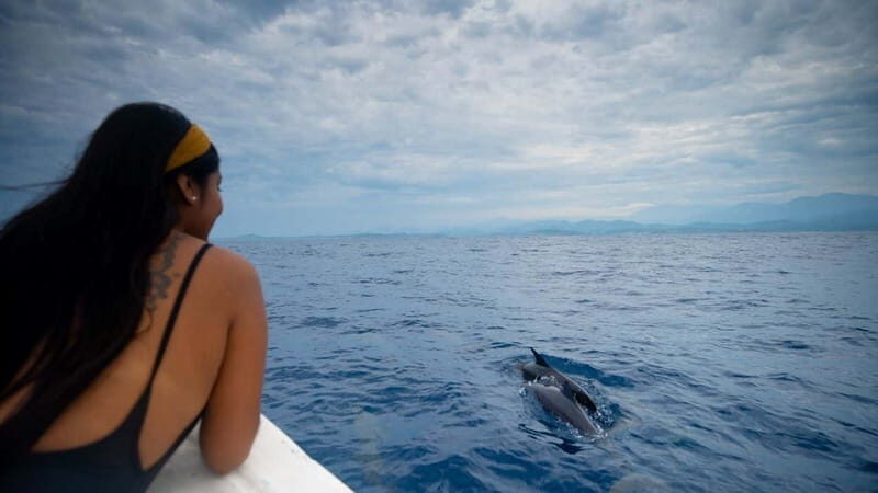 Huatulco: Awakening with Stars Dolphins Boat Cruise - Authentic Experiences and Guest Feedback