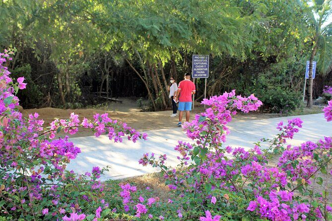 Huatulco hiking, viewpoints and Snorkling - The Authentic Touch from Visitors