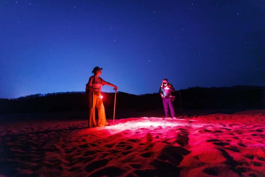 Huatulco: Nighttime Sea Turtle Monitoring guided by a biologist - An Overview of the Experience