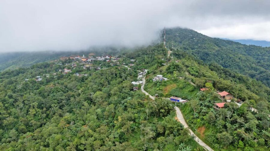 Huatulco: Pluma Hidalgo Coffee Origin and Essence. - The Value Proposition