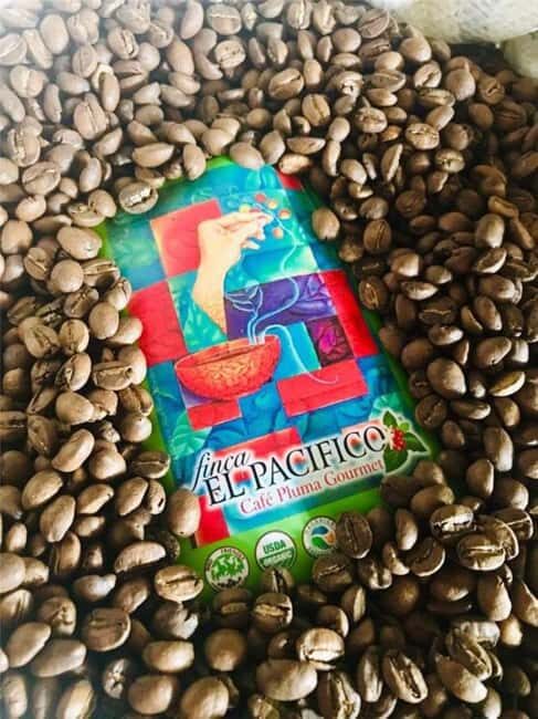 Huatulco: Santa Maria and Pluma Hidalgo Coffee Tour - What to Expect on the Coffee Tour