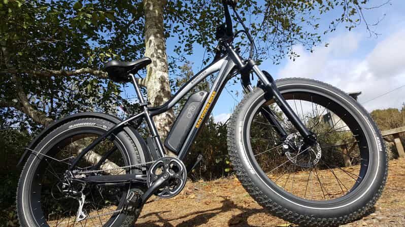 Humboldt: Electric Bike Rentals (4-Hour or Full Day options) - Who Will Love This Experience?