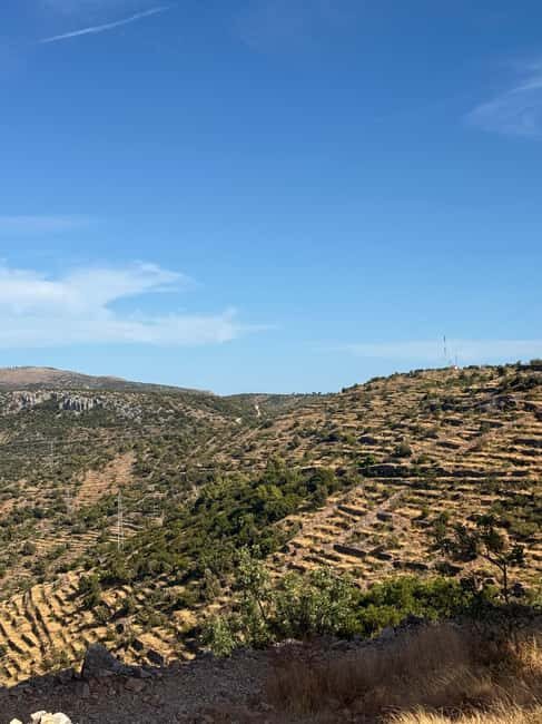 Hvar: Hvar Wine Tasting Experience - The Value and Practical Details