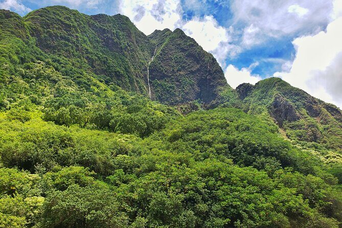 Iao Valley Nature Walk - What Past Travelers Say