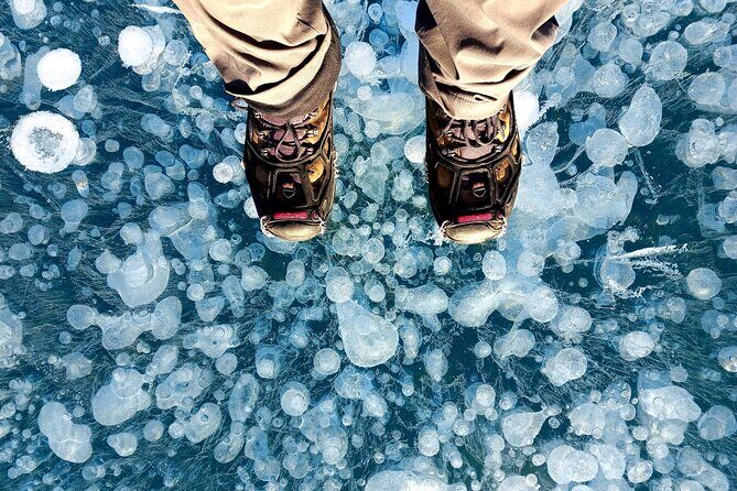 Ice Bubble Adventure on Abraham Lake - The Scenic Drive and the Guide’s Role