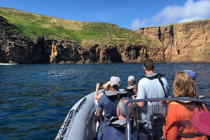 Ilhéus das Cabras in Terceira Island - What You Can Expect from the Tour