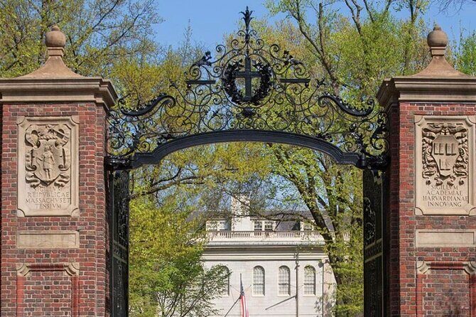 Illustrious Schools: Group Tour of MIT And Harvard - Who Will Love This Tour?
