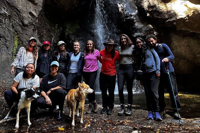 Immerse in the Nature: Deep Connection through Forest Bathing - The Sum Up