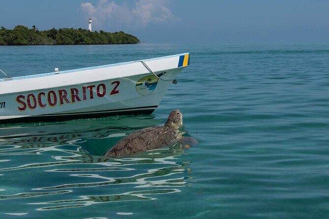 In Contact with Nature, Sian Ka'an Biosphere Boat Ride Tour - An In-Depth Look at the Sian Kaan Boat Tour