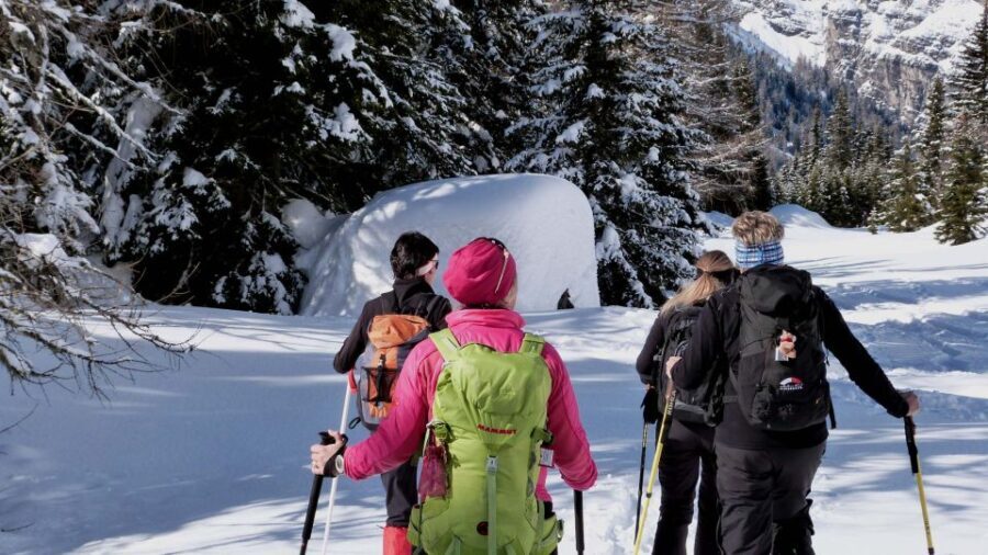 Innsbruck: Priv. Guided Snowy Mountain Hike /Snowshoe´s - The Value of a Private Guide
