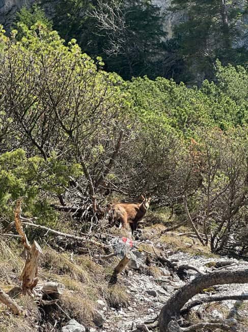 Innsbruck: Private Adventure Tour with Guide - Why Choose a Private, Tailor-Made Adventure?