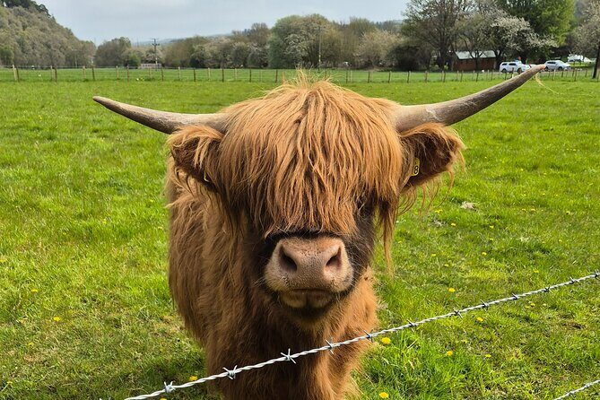 Invergordon shore excursion - Private Scenic Loch Ness Tour - Exploring the Itinerary