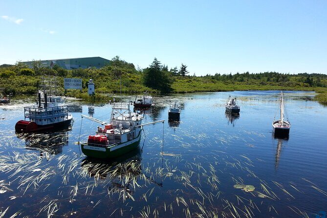 Irish Loop to Ferryland Tour - Practicalities and What to Expect