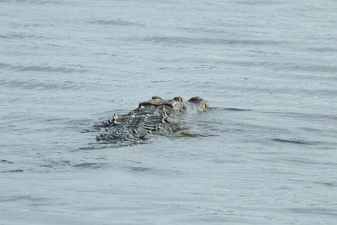 Isla Blanca wildlife expedition private bike & boat tour cancun mexico - The Sum Up