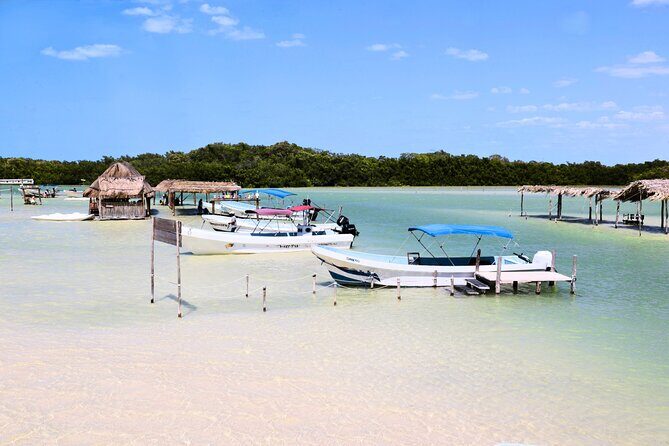 Isla Columpios and Progreso Day Trip - Cost and Value