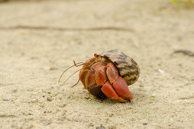 Isla Contoy Private Day Tour, from Cancun - Who Will Love This Tour?