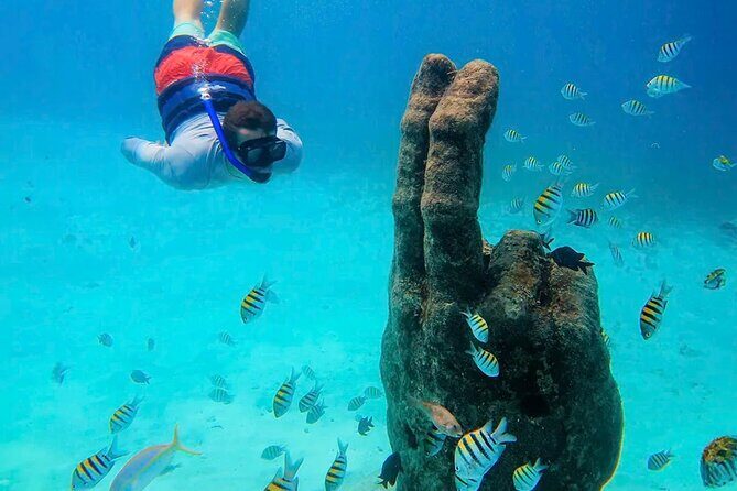 Isla Mujeres Catamaran Tour - Who Is This Tour Best For?