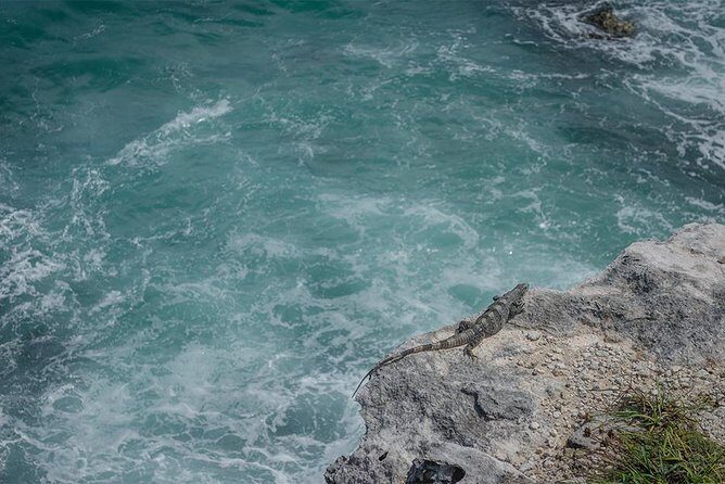 Isla Mujeres Private Excursion - Authentic Experiences and Common Feedback