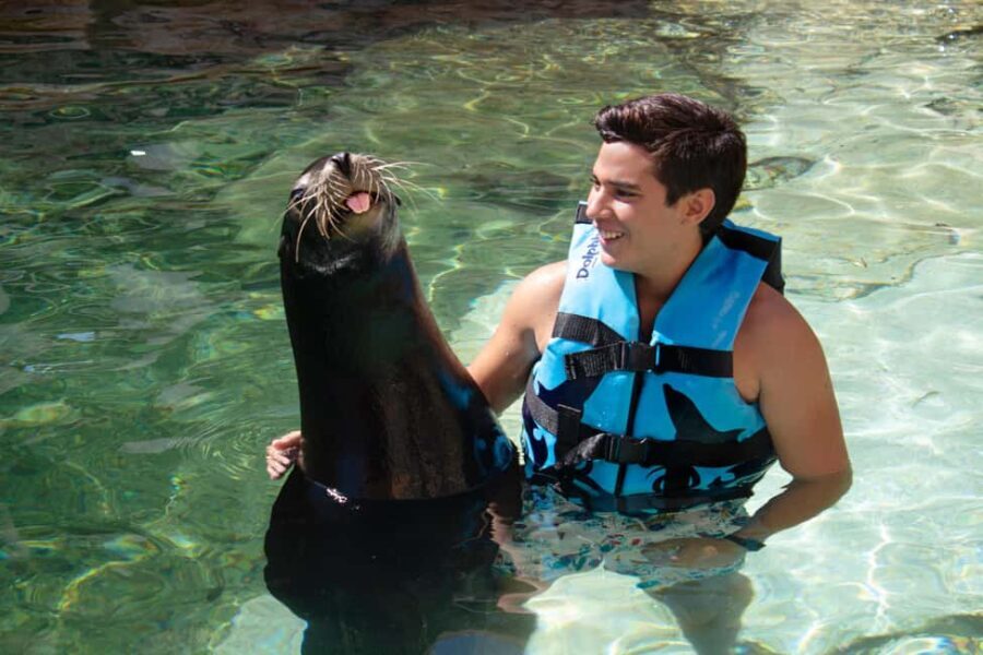 Isla Mujeres: Sea Lion & Manatee Interaction with Buffet - Why This Tour Might Be Perfect for You